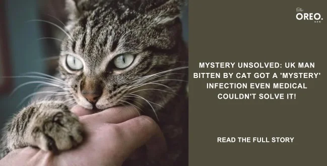 UK man bitten by cat got a 'Mystery' Infection