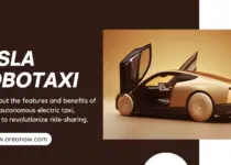 Tesla Robotaxi